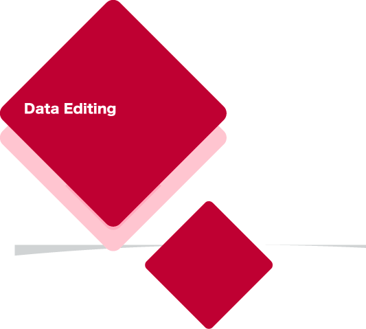 Data Editing