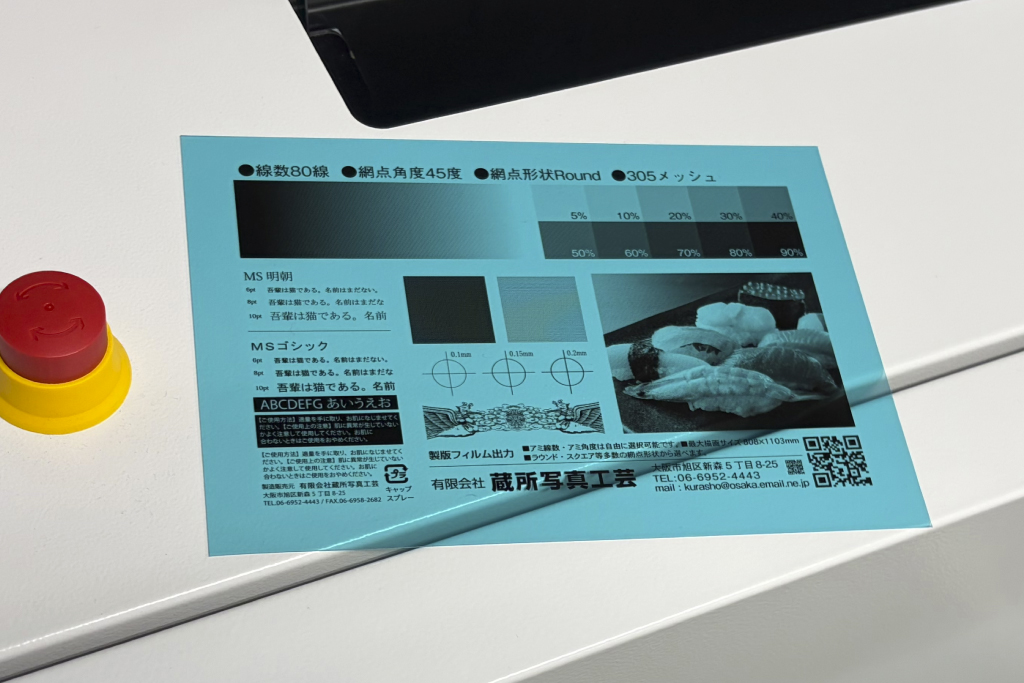 製版用フィルム出力システム